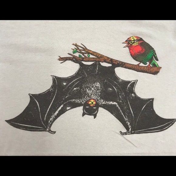 Meet your Posher, Cassie - Picture 4 of 9